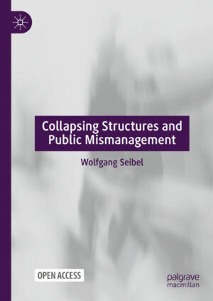 Collapsing Structures and Public Mismanagement | Wolfgang Seibel