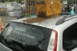 Der BAfmW-Dienstwagen im Einsatz für Bienen und Vaterland! Foto: Bundesamt für magische Wesen
